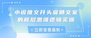 小说推文开头吸睛文案的底层思维逻辑实操-风淘社