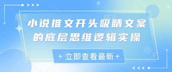 小说推文开头吸睛文案的底层思维逻辑实操-风淘社