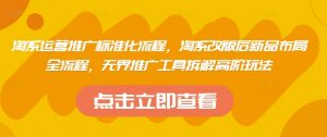 淘系运营推广标准化流程，​淘系改版后新品布局全流程，无界推广工具拆解高阶玩法-风淘社