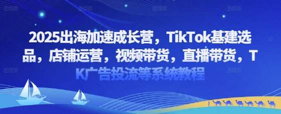 2025出海加速成长营,TikTok基建选品,店铺运营,视频带货,直播带货,TK广告投流等系统教程-风淘社