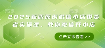 2025新版原创微信小店带货者实操课，教你微信开小店-风淘社