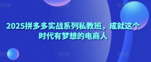 2025拼多多实战系列私教班,成就这个时代有梦想的电商人-风淘社