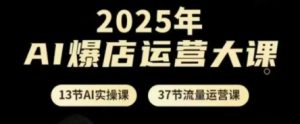 2025年AI爆店运营大课,13节AI实操课+37节流量运营课-风淘社
