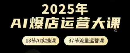 2025年AI爆店运营大课,13节AI实操课+37节流量运营课-风淘社