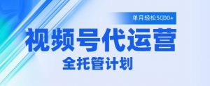 视频号代运营2.0,全程托管招募,单月轻松变现5k【揭秘】-风淘社