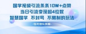 国学视频引流条条10W+点赞当日引流变现超4位数-风淘社