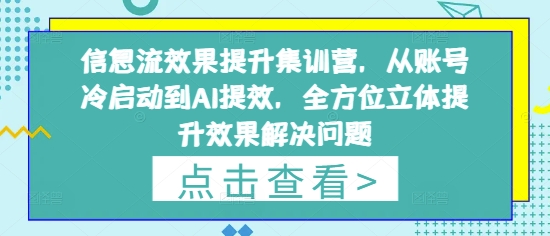 信息流效果提升集训营,从账号冷启动到AI提效,全方位立体提升效果解决问题-风淘社