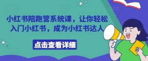 小红书陪跑营系统课,让你轻松入门小红书,成为小红书达人-风淘社