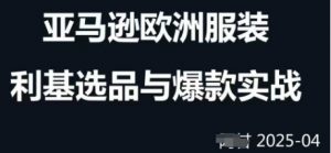跨境电商选品案例24-25年,聚焦跨境电商选品策略与运营优化,助力卖家挖掘蓝海市场-风淘社