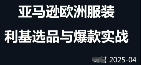 跨境电商选品案例24-25年,聚焦跨境电商选品策略与运营优化,助力卖家挖掘蓝海市场-风淘社