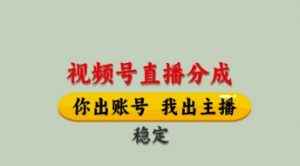 视频号直播分成，全程托管招募，单月轻松变现8k【揭秘】-风淘社