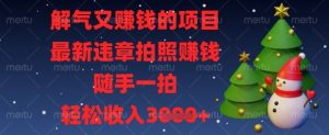 解气又挣钱的项目，最新违章拍照挣钱，随手一拍，轻松收入数张【揭秘】-风淘社