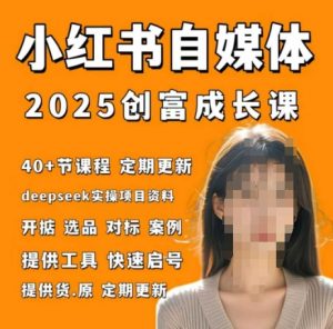 小红书电商自媒体创富课2.0版,实战打卡笔记训练营-风淘社