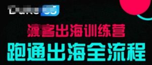 出海训练营基础课，​跑通出海全流程，实战案例拆解-风淘社