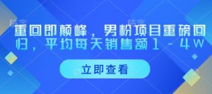 重回即颠峰,男粉项目重磅回归,平均每天销售额1-4W-风淘社