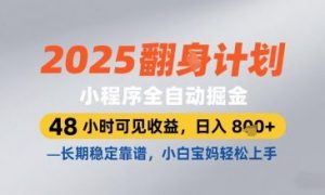 2025小程序全自动掘金,48 小时可见收益,日入8张,长期稳定靠谱,小白宝妈轻松上手【揭秘】-风淘社