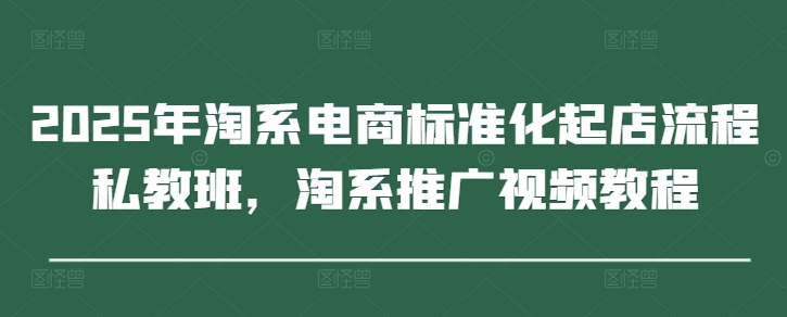 2025年淘系电商标准化起店流程私教班,淘系推广视频教程-风淘社