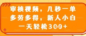 视频审核员,几秒一单,不限时间,不限地点,多做多得,新人小白一天轻松几张+【揭秘】-风淘社