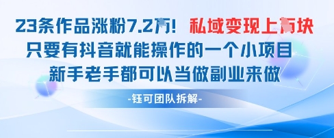 抖音私域项目23条作品涨粉7.2W，私域变现1W-风淘社