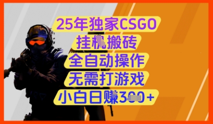 25年独家CSGO挂G搬砖,全自动操作,无需打游戏,小白日入3张+【揭秘】-风淘社