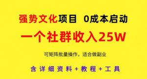 强势文化项目，一个社群收入25个W，0成本启动，可矩阵批量操作，原创详细实操教程-风淘社