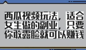 西瓜视频玩法,适合女生做的副业,只要你敢露脸就有收益-风淘社