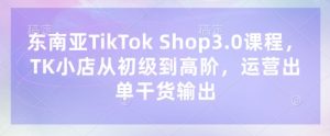 东南亚TikTok Shop3.0课程,TK小店从初级到高阶,运营出单干货输出-风淘社