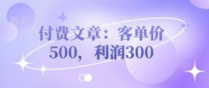 付费文章:客单价500,利润300-风淘社