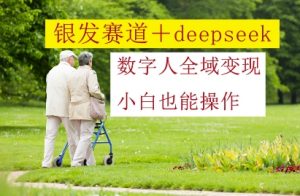银发赛道+deepseek数字人全域变现，小白也能操作-风淘社