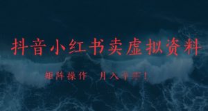 抖音小红书卖虚拟资料,市场需求一直存在,矩阵操作,月入1w+-风淘社