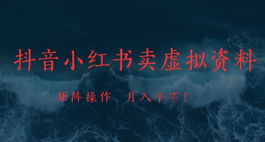 抖音小红书卖虚拟资料,市场需求一直存在,矩阵操作,月入1w+-风淘社