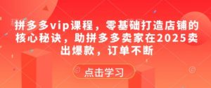 拼多多vip课程,零基础打造店铺的核心秘诀,助拼多多卖家在2025卖出爆款,订单不断-风淘社