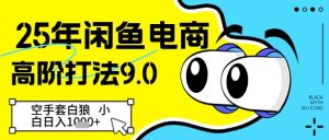 25年闲鱼电商高阶打法9.0,空手套白狼,小白日入几张-风淘社