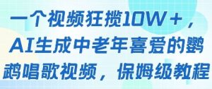 一个视频狂揽10W+点赞，AI生成中老年喜爱的鹦鹉唱歌视频，保姆级教程，轻松挣取创作者分成-风淘社