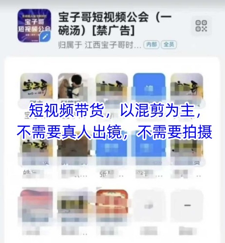 宝子哥头部团队短视频带货,以混剪为主,不需要真人出镜,不需要拍摄-风淘社