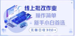 线上批改作业，操作简单新手小白首选，无脑日收300+【揭秘】-风淘社