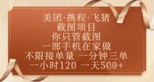 飞猪美团截图项目,你只管截图,一部手机在家做,正规平台无套路,一天5张+【揭秘】-风淘社