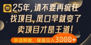 什么?25年你还在疯狂找项目做,醒醒吧,看完这些你全都懂了【揭秘】-风淘社