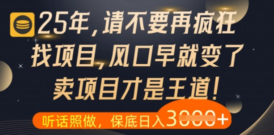 什么?25年你还在疯狂找项目做,醒醒吧,看完这些你全都懂了【揭秘】-风淘社