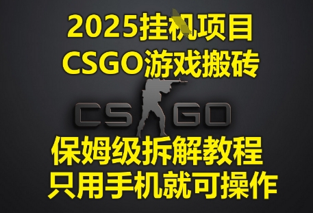 2025挂G项目，CSGO游戏搬砖，保姆级拆解教程，只用手机就可操作【揭秘】-风淘社
