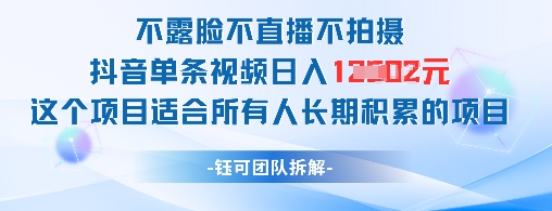 不露脸不直播不拍摄抖音单条视频日入1k+这个项目适合所有人长期积累的项目-风淘社