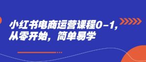 小红书电商运营课程0-1,从零开始,简单易学-风淘社