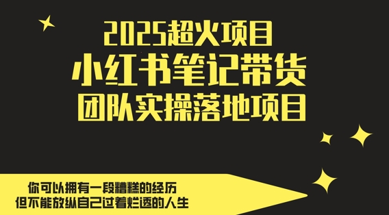 2025超火项目,副业最佳选择,小红书笔记带货团队实操落地项目,,轻松日入5张-风淘社
