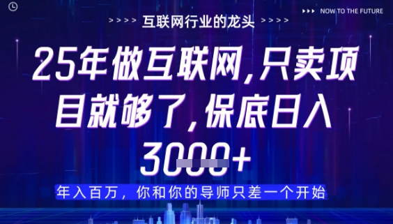 什么!25年你还在找项目做?风口早就变了,卖项目才是稳挣不赔【揭秘】-风淘社