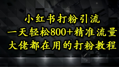 小红书打粉引流,一天轻松500+精准流量,大佬都在用的打粉教程-风淘社
