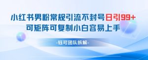 小红书男粉常规引流不封号日引99+变现简单 可矩阵可复制小白容易上手-风淘社
