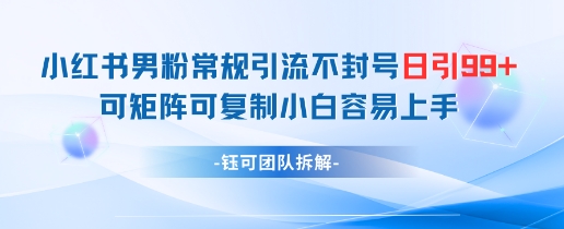 小红书男粉常规引流不封号日引99+变现简单 可矩阵可复制小白容易上手-风淘社