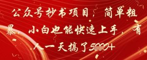 公众号抄书项目，简单粗暴，小白也能快速上手，有人一天搞了1k+-风淘社