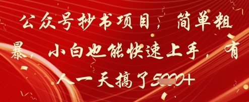 公众号抄书项目,简单粗暴,小白也能快速上手,有人一天搞了1k+-风淘社