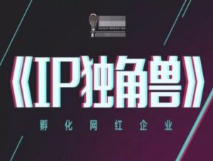 IP独角兽,孵化网红企业,ip教程-风淘社